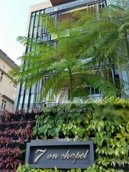7 on Chapel (D15), Apartment #189635782